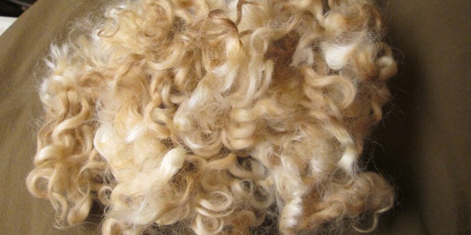 Raw Cotswold Wool